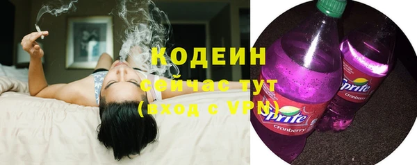 хмурый Аркадак