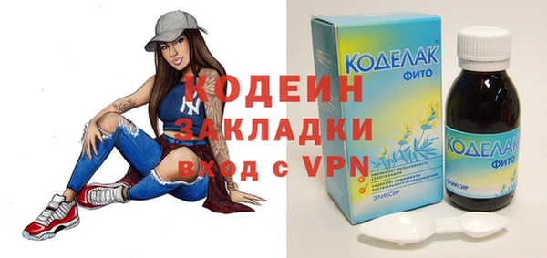 хмурый Аркадак