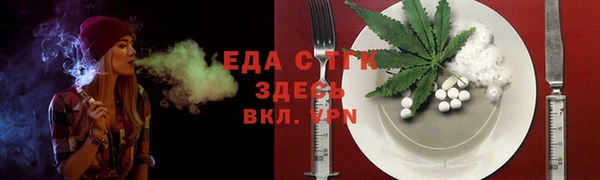 хмурый Аркадак