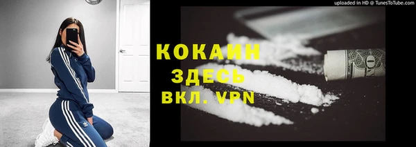 хмурый Аркадак