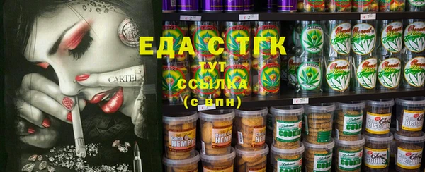 хмурый Аркадак