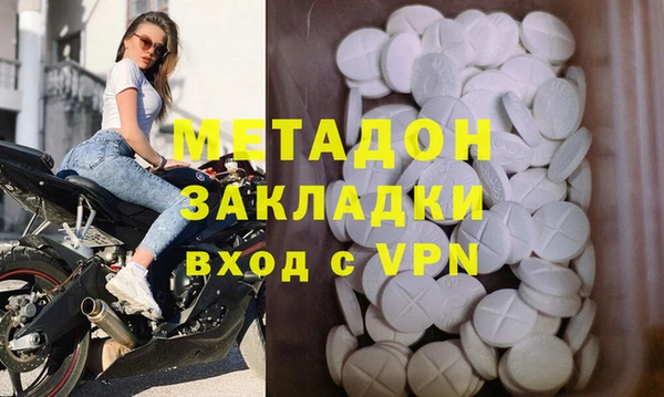 хмурый Аркадак