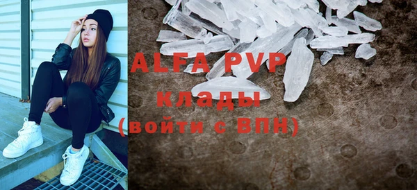 хмурый Аркадак