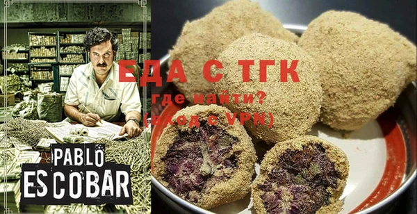 хмурый Аркадак