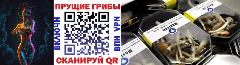 Галлюциногенные грибы мухоморы  маркетплейс официальный сайт  Чудово  цены наркотик 